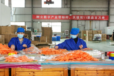 开门红！天猫双11首日引爆“厂货”消费潮，日用百货产业带成交额同比激增17倍